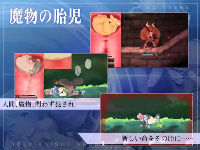 [ACT/PC官中/动态/更新] 圣骑士阿恩与魔孕咒印（聖騎士アルネと魔孕の呪印～Another No Tears～）Ver1.0.10 [4.4G][度盘/夸克]_次元喵ACG游戏资源网-免费黄油_黄油大全_单机游戏_AGREE动漫游戏资源网